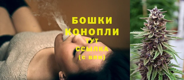 спиды Бронницы